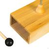 Stimmgabel Experimentalinstrument mit Resonanzkasten Singtonsatz für