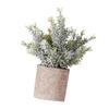 Artificial Plant Small Potted Faux Greenery Lifelike Plastic Plant for Housewarming Indoor Garden Office Bedroom