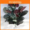 Simulated Ficus Elastica Plants Hotel Parks Artificial Landscapes Ornament Room
