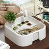 Transparent Turtle Tank Home Desktop Decoration Turtle Box With Sun Platform Simple Reptile Habitat