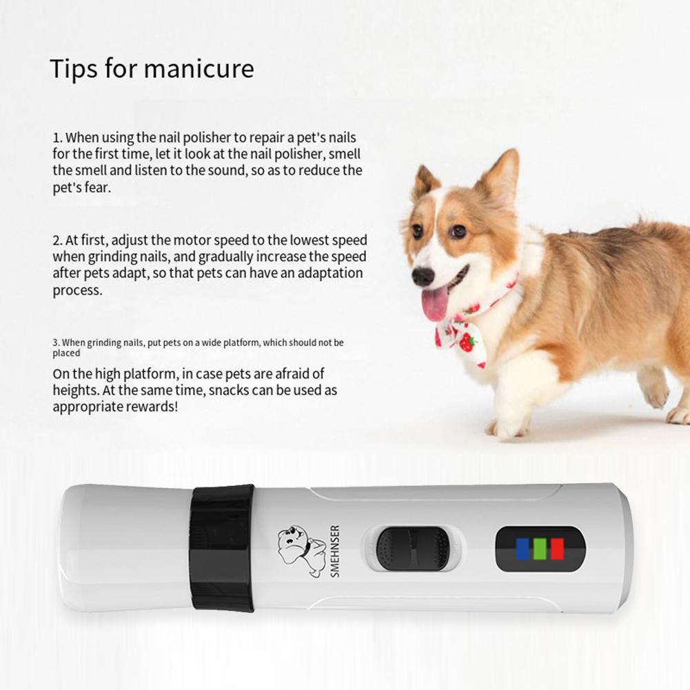 dog thermometer petsmart