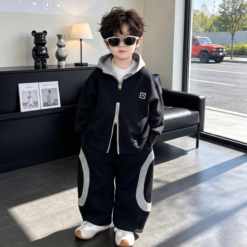 Boys' Two-Piece Spring & Autumn Set: Hooded Jacket & Casual Pants, Stylish Color Block Outfit