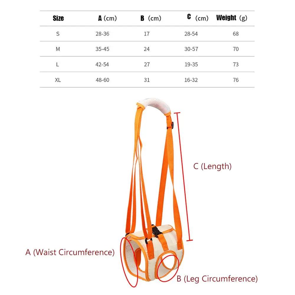 Training  Disability Auxiliary Dog Walking Dog Lifting Belt Pet Lift Support Harness Pet Auxiliary Belt