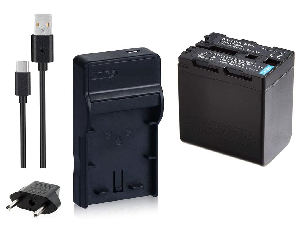 NinoLite Set Compatible USB Type Charger Overseas Replacement Sony Compatible 3-piece NP-QM91 + + Plug, Dc01npqm91_t.k.gai