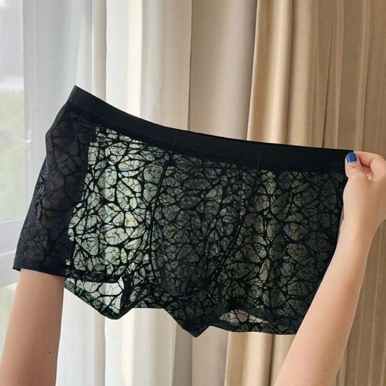 See Through Men Underwear Sexy Convex Boxers Transparent Soft Briefs