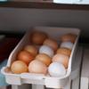 Supplies Egg Storage Box Organizer Case Anti-Collision Egg Holder Storage Container Egg Tray Fresh-Keeping Box 15 Grid Egg Box