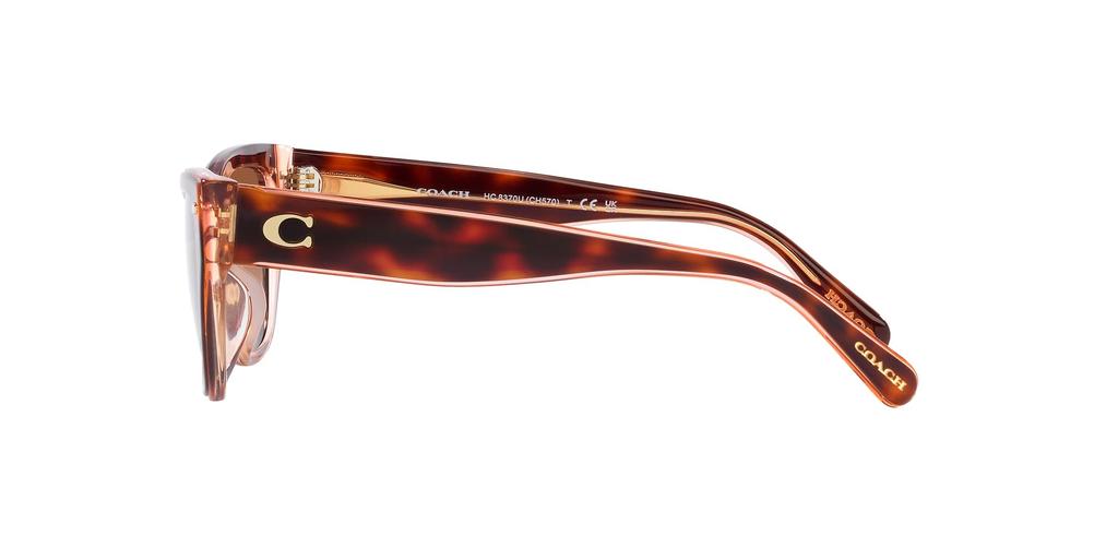 Sunglasses HC8370F CH660 PINK PINK GRADIENT Lens 56 [Coach] TORTOISE/TRANSPARENT Frame/BROWN