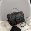 Small Crossbody Bag - A Unique Summer Style Bag with Fashionable New Quality and A Chain Strap.
