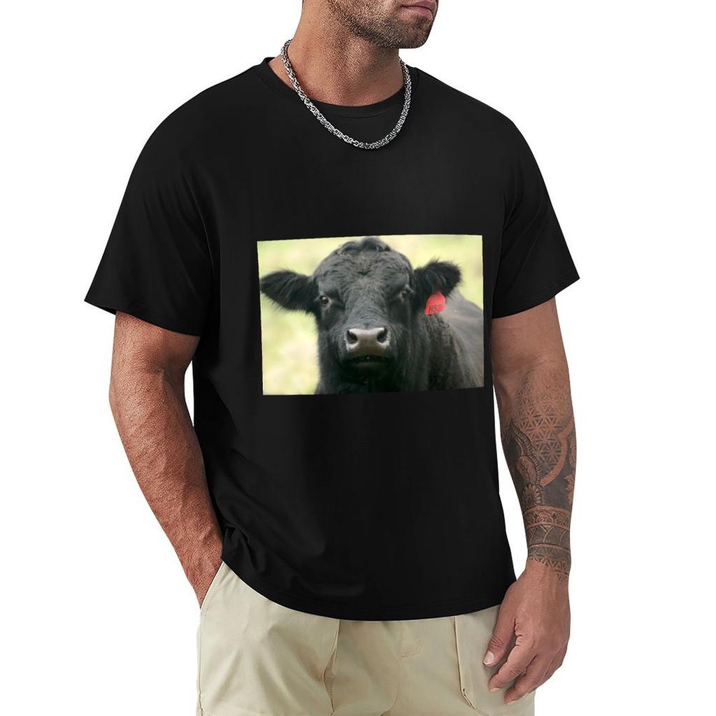 Black Angus Bull T-Shirt Kawaii Clothes Blue Archive Mens Graphic T-shirts Funny