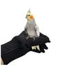 1 Pair Bird Accessory Supplies Chewing Protective Safety Protective Gloves  Working