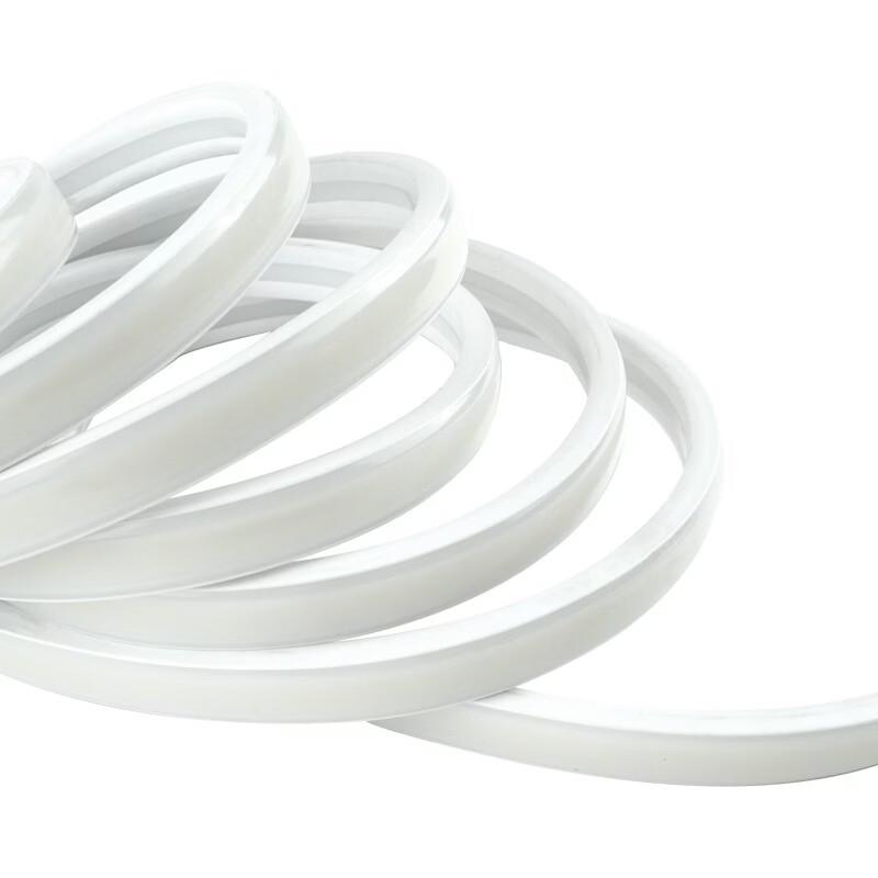 Ultra-Thin COB LED Strip Light 220V