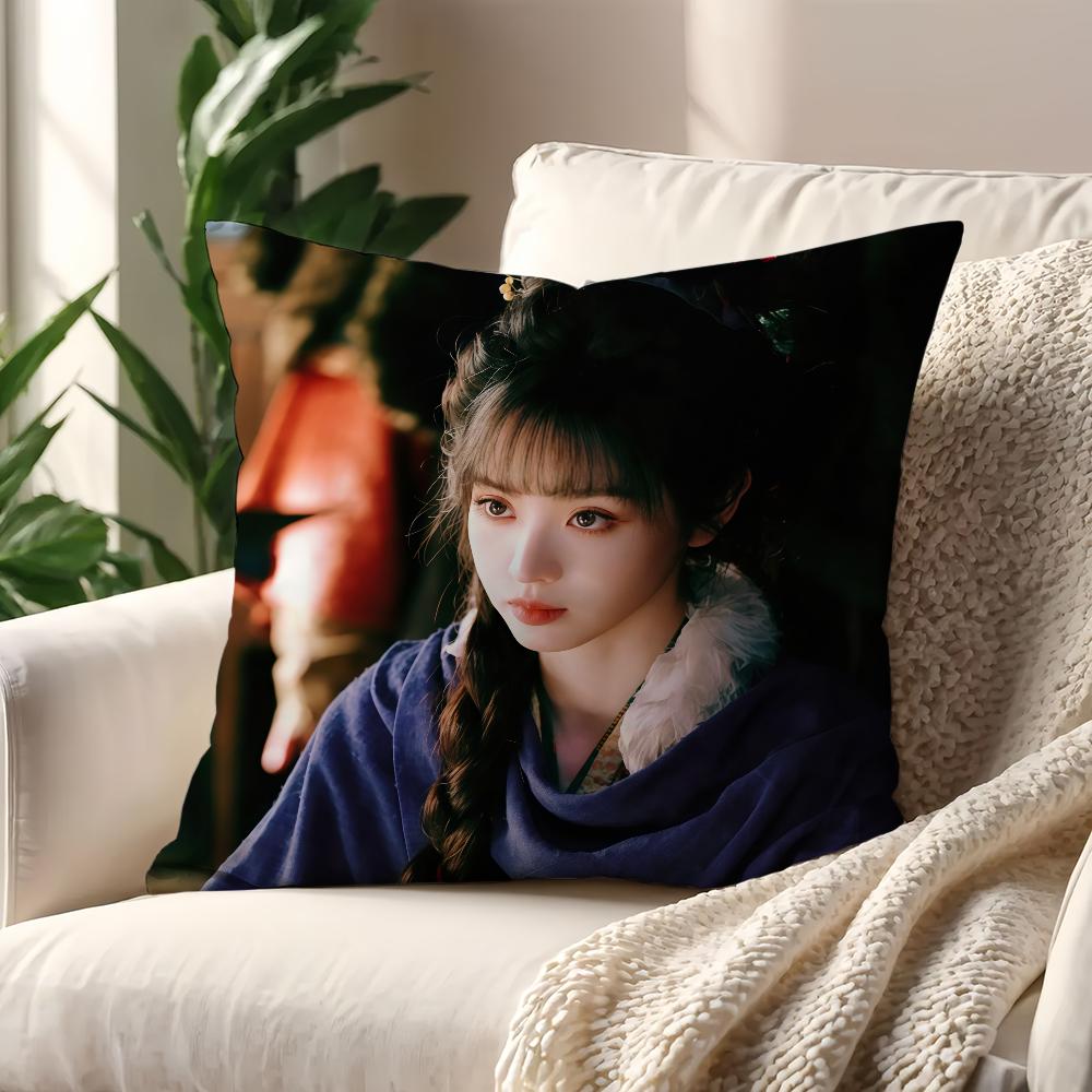 TV Pursuit of Jade Fan Changyu Cushion Cover For Pillow Printing Sofa Decoration Home Room Coffee Shop Office Nordic Simplicity