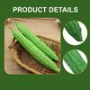 Artificial Vegetable Fake Veggie Model Display PU Realistic Decorative Lifelike Faux for