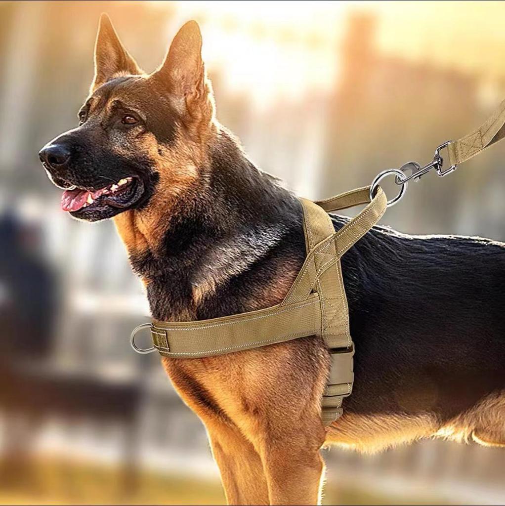Neuer Stil Hunde Geschirr Weste Halsband für Große Rassen - Malinois, Golden Retriever, Deutscher Schäferhund, Border Collie