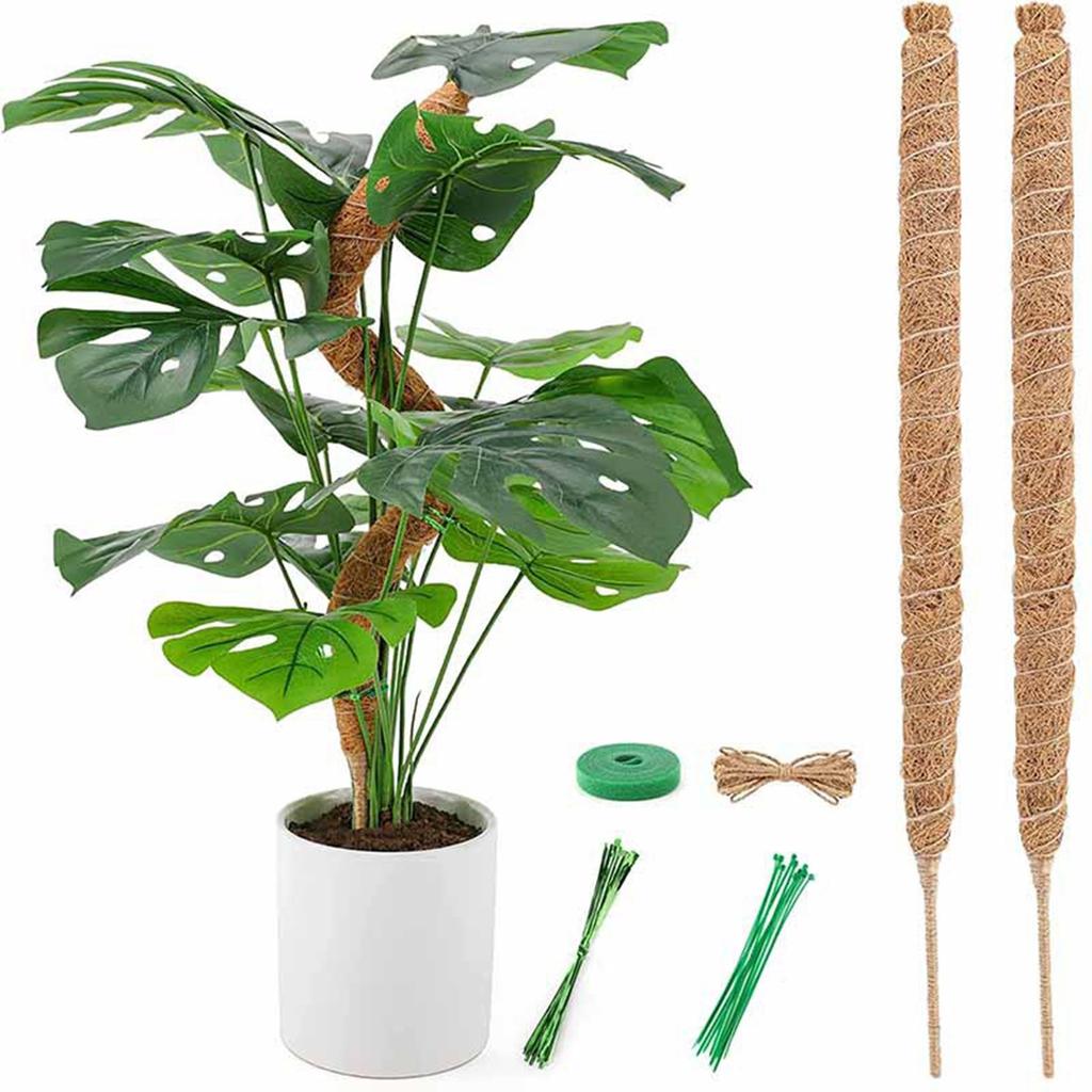 Plant Moss Poles For Indoor Plants Climbing Support Moss Poles DIY Modeling Plants Rods