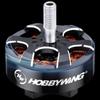 Hobbywing XRotor FPV Drone Motor