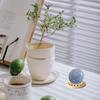 20pcs High Quality Wooden Crafts Hollow Sunflower Base Home Decoration Wooden Base Decoration Crystal Ball Base