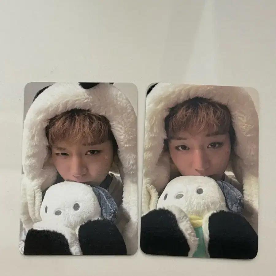 Park Ji-hoon Pochaco Poka (2 Types)