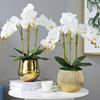 Plastic Artificial Plant Real Touch Fake Plant Simulation Plant Decorative Plant  Decorative