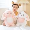 Cute Bunny Plush Toy Doll Can Insert Throw Pillow Doll Girl Little White Rabbit Backpack Dual-Purpose Backpack