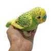 Taiyo Sangyo Boeki Stuffed Budgerigar (Green)