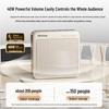 Soaiy S6 40W Wireless Clip-on Voice Amplifier & Portable Bluetooth Speaker CN Plug (adapter Included)