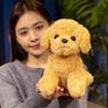 Cute Simulation Curly Hair Teddy Dog Doll Plush Toy Puppy Dog Doll Children Companionship Soothing Doll