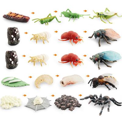 Simulation Mini Insekten Set Heuschrecke Biene Spinne Wachstumszyklus Lebensstadium Kognitives Modell Spielzeug