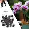 30 Pieces Vine Clamp Plant Support Butterfly Orchid Clips for Garden Orchids
