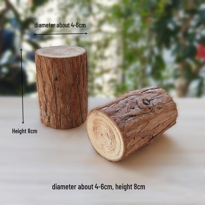 Natural Dried Fruit Wood Slices & Pine Acorn Christmas Decor Materials for Photography Backgrounds