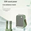 Divoom Oriental Cyan Phoenix 2nd Gen Wireless KTV Microphone CN Plug (adapter Included)
