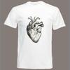 Vintage Anatomical Heart Tshirt Biology Anatomy Medical Woman Man Graphic T Shirts Funny Adult Cotton Streetwear Ropa De Hombre