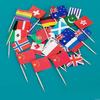 100 Different National Flag Toothpicks Flags Decorates Your Party and Restaurant Cocktails Flag