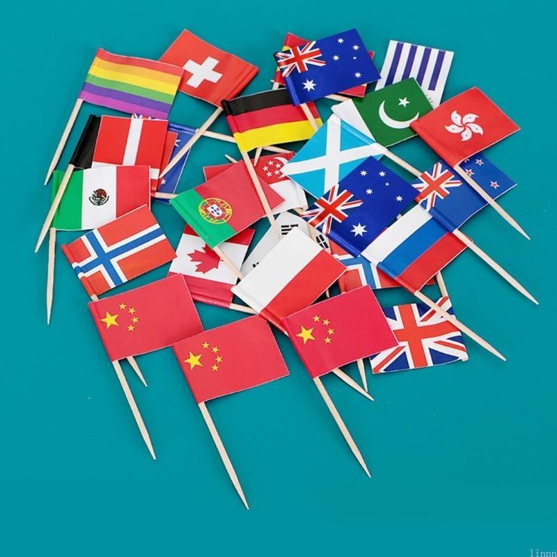100 Different National Flag Toothpicks Flags Decorates Your Party and Restaurant Cocktails Flag