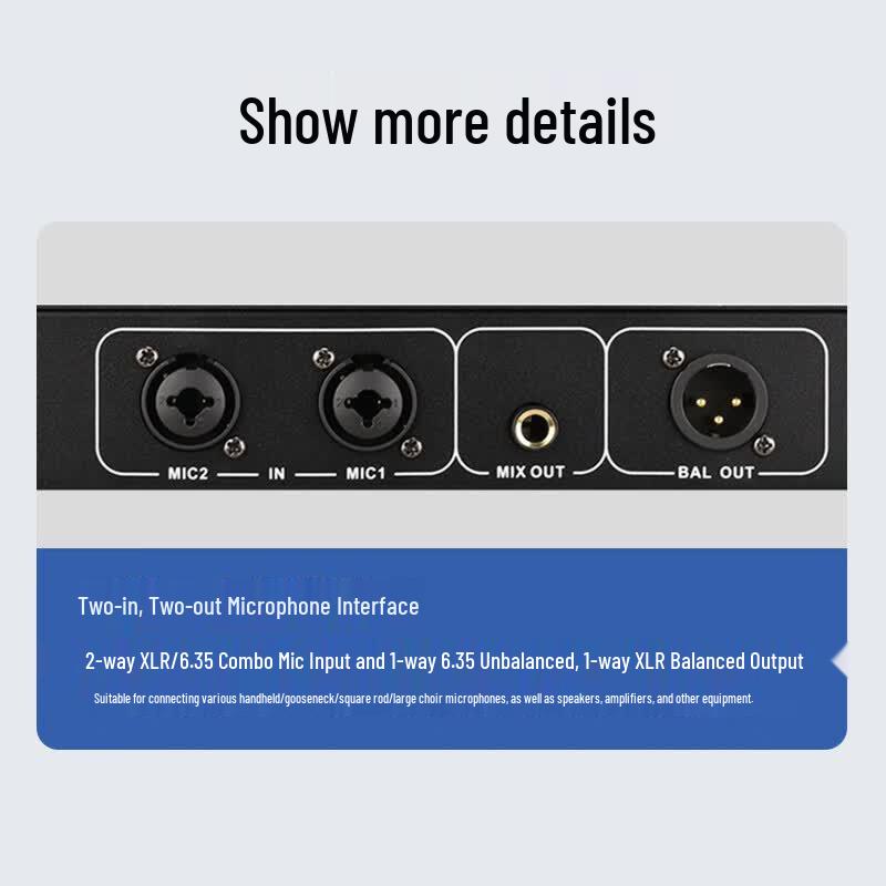 TAKSTAR DF-2 Digital Feedback Suppressor
