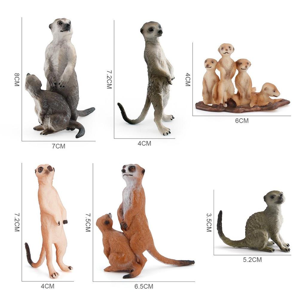 Children's Solid Meerkat and Raccoon Desktop Figurine Set