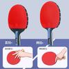 3-4 Star Table Tennis Racket Beginners To Intermediate Players Straight Grip Wooden Blade Double Pimple-in Rubber