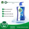 Dettol Healthy Shower Gel