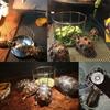 Fence Design Tortoise Food Dish Large Capacity Reptile Feeder Bowl  For Amphibians