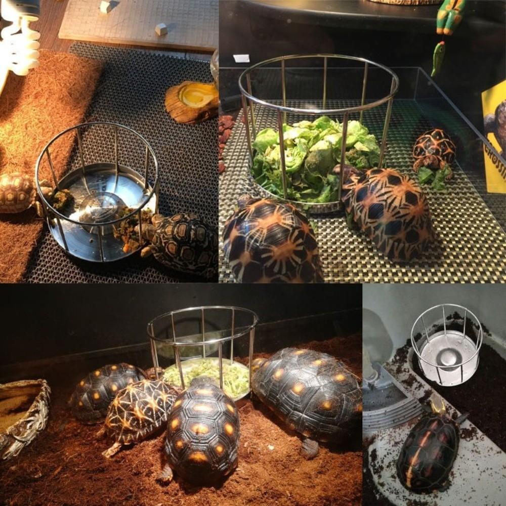 Fence Design Tortoise Food Dish Large Capacity Reptile Feeder Bowl  For Amphibians