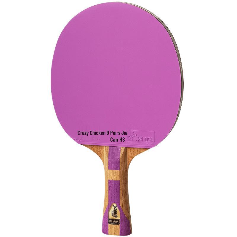 DHS Professional Table Tennis Racket