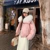 Big fur collar down cotton jacket women's winter short temperament loose small deerskin down cotton jacket
