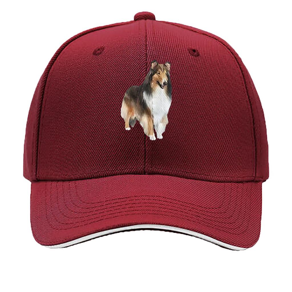 Collie Charm Dog Grace Hip Hop hat Fashion Outdoor Sports Sandwich Baseball Cap