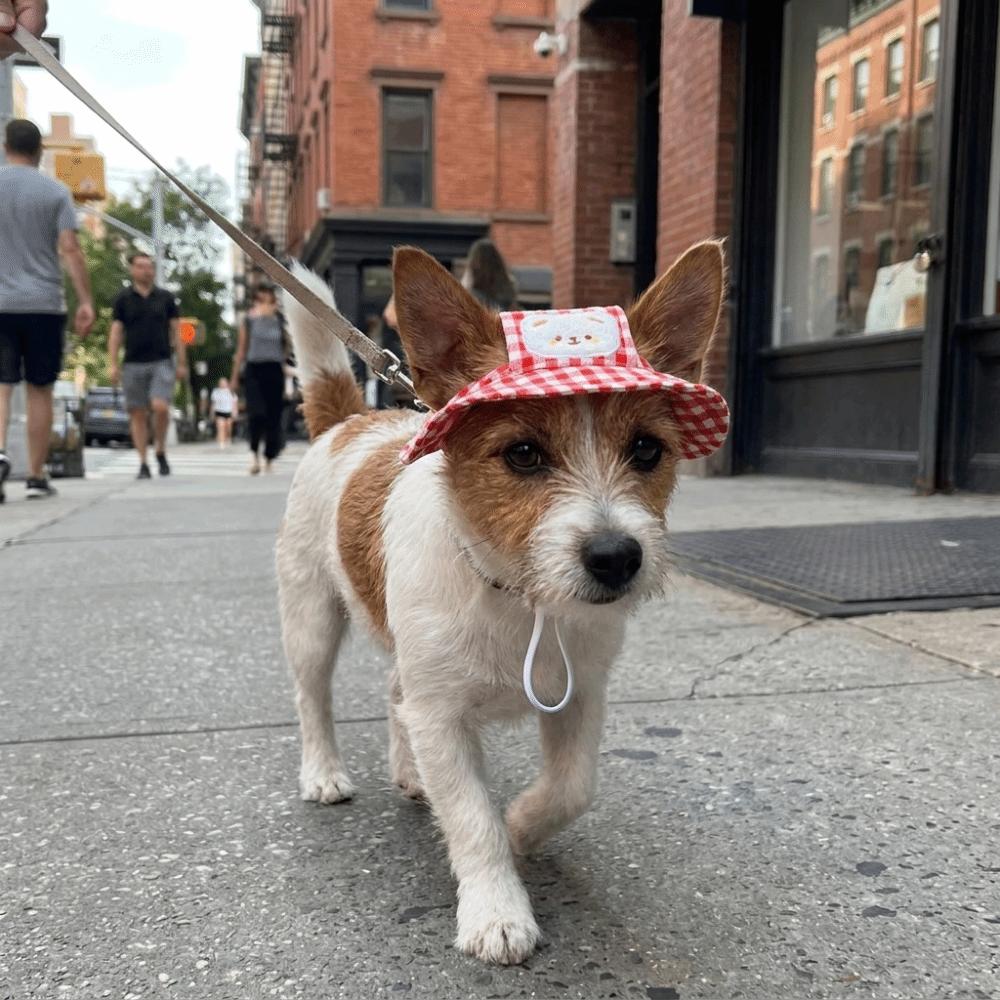 Breathable Dog Fisherman Hat Adjustable Dog Visor Hats Comfortable Cat Sunscreen Hat  Spring Summer