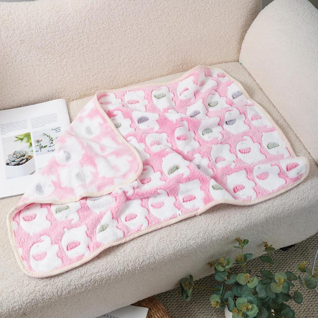 Pet Mats & Blankets: Thick Coral Fleece for Dogs & Cats