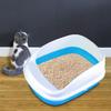 Cat for Clean Feline Hygiene