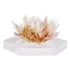 Crystal Growing Kit Science Fun Experiments For Kids