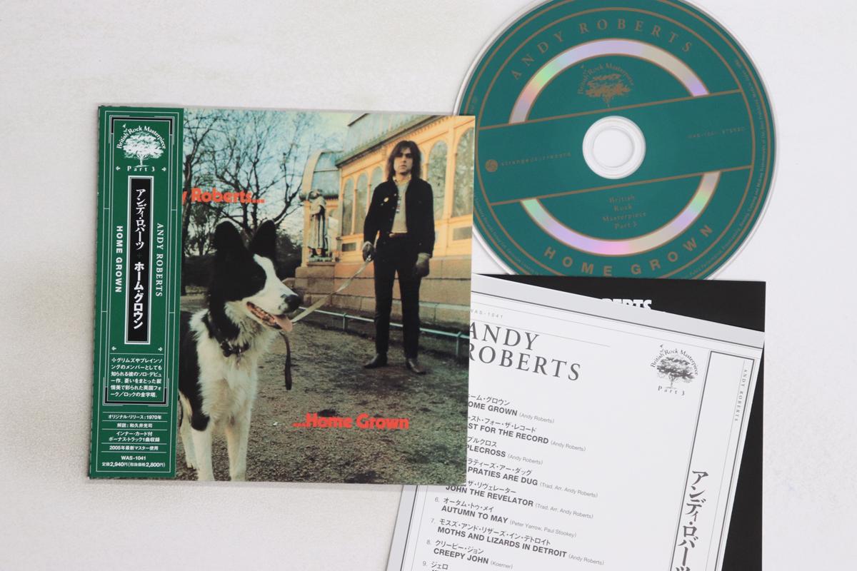 

CD ANDY ROBERTS - Home Grown WAS1041 STRANGE DAYS 2005 Japan Obi Rock Used