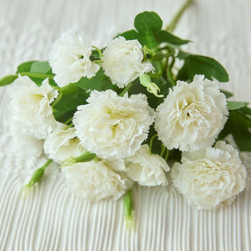 Centrotavola di Fiori Artificiali a 10 Teste Fiori Primaverili Finti in Seta per la Festa della Mamma Matrimonio Bouquet di Garofani Decorazione da Tavolo