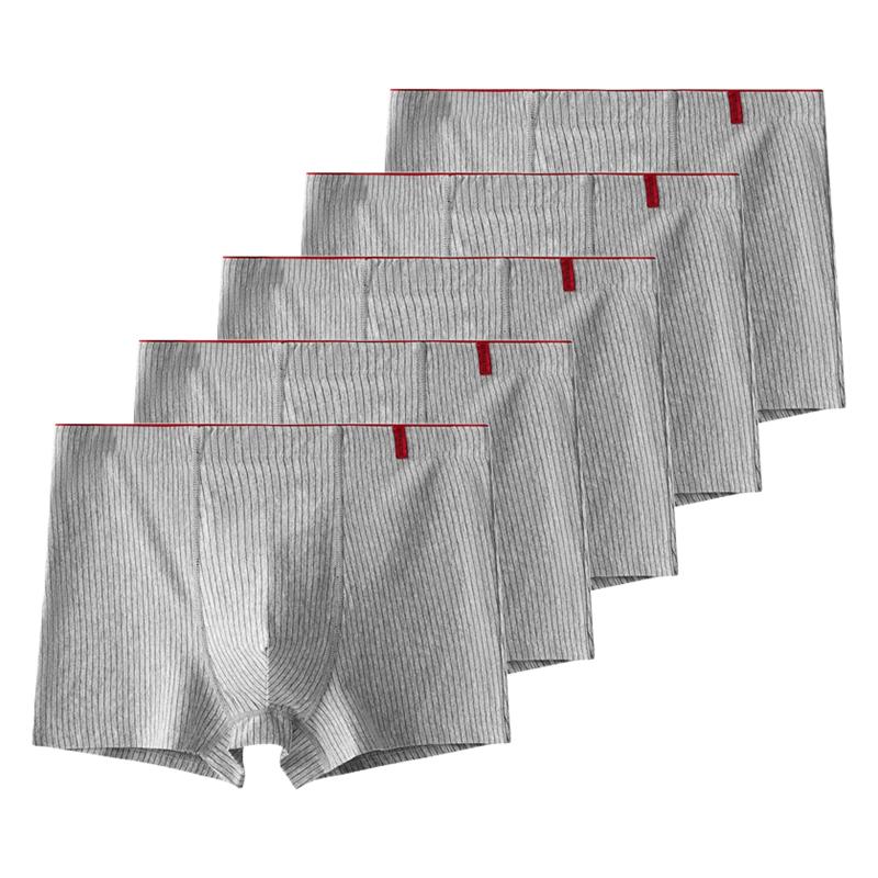 5 kusů Pánské bavlněné boxerky Antibakteriální spodní prádlo Pánské kalhotky XL XXL 3XL 4XL 5XL
